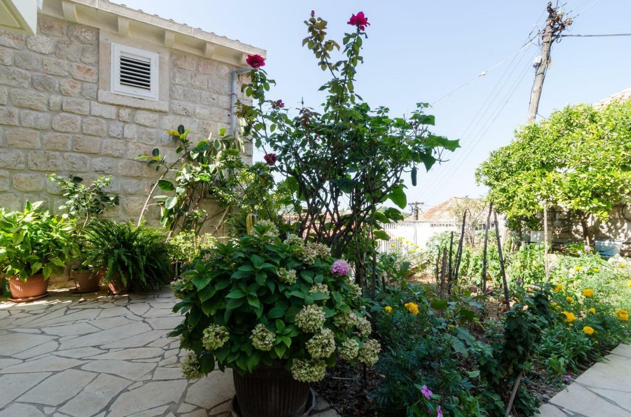 Apartments Bozica Dubrovnik Exterior foto